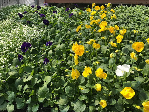 Garden Center «Lake Anna Nursery», reviews and photos, 71 Oak Grove Dr, Mineral, VA 23117, USA