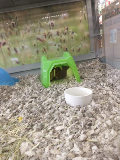 Pet Supply Store «Petco Animal Supplies», reviews and photos, 660 Chestnut Commons Dr, Elyria, OH 44035, USA