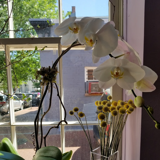 Florist «Ultra Violet Flowers», reviews and photos, 1218 31st St NW, Washington, DC 20007, USA