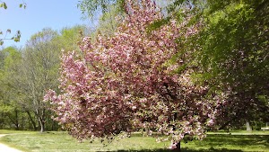 Shaffner Park - photo 13