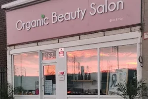 Organic hair salon image