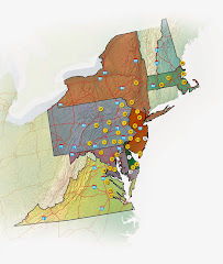 Service Tire Truck Centers - Road Service at Syracuse, NY - Photo 2 - Car repair in Syracuse, NY, Syracuse