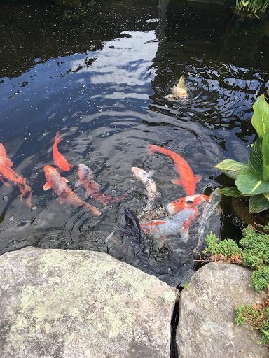 Florist «Country Gardens», reviews and photos, 157 Central St, Rowley, MA 01969, USA