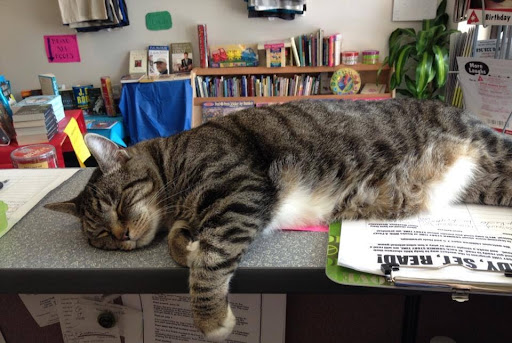 Books With A Past, 2465 MD-97, Glenwood, MD 21738, USA, 