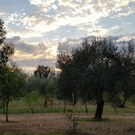 Photo n°2 de l'avis de Debbyh.e fait le 05/09/2021 à 15:13 sur le  Agricola Moderna by FDR à Magliano Sabina