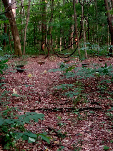 USI Burdette Park Trail