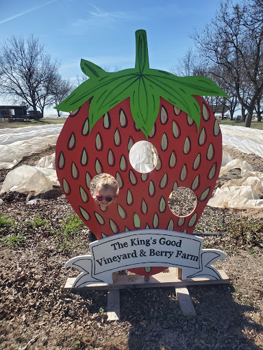 The King's Good Vineyard & Berry Farm