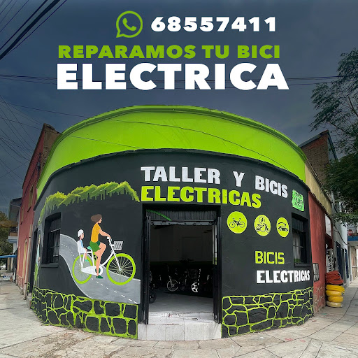 Smart Electric Bolivia