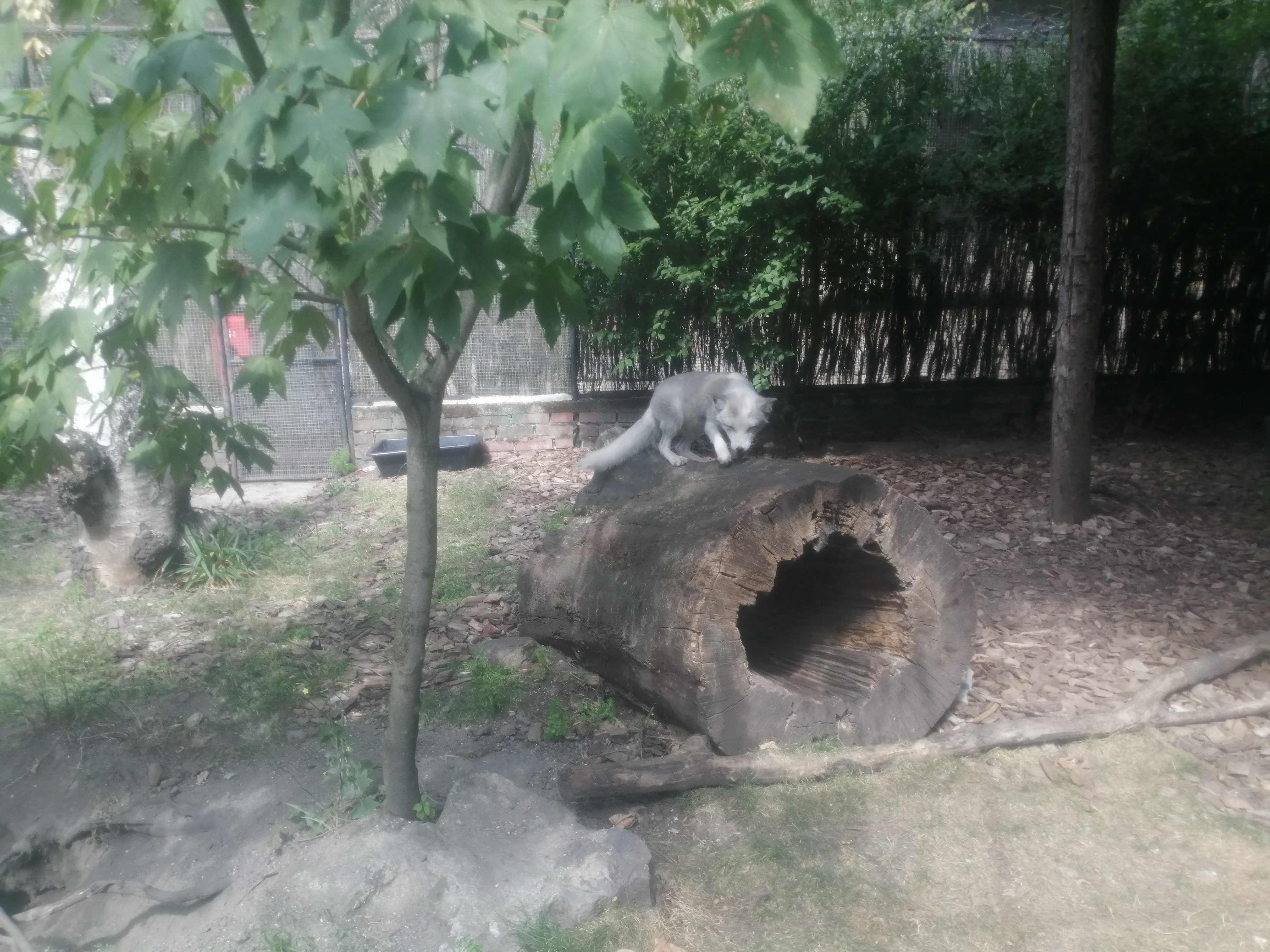 Photo n° 8 de l'avis de Paul.o fait le 08/08/2020 à 16:49