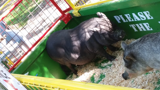 Museum «Queens County Farm Museum», reviews and photos, 73-50 Little Neck Pkwy, Queens, NY 11004, USA