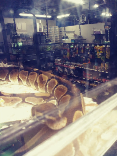 Pet Store «Fins and Skins», reviews and photos, 8451 49th St N, Pinellas Park, FL 33781, USA