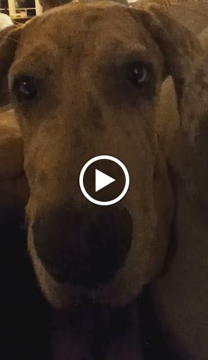 Arena «TD Garden», reviews and photos, 100 Legends Way, Boston, MA 02114, USA