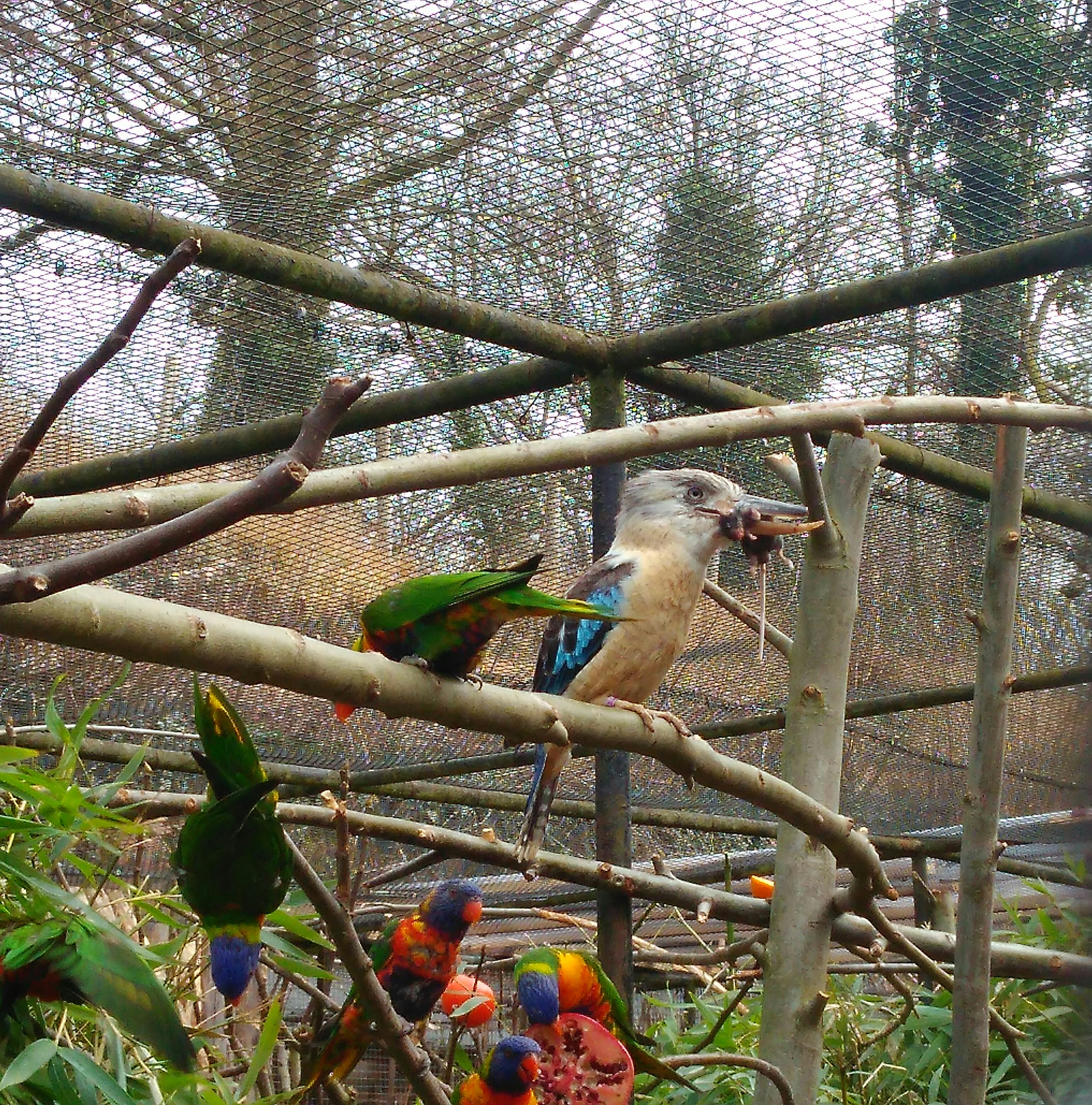 Photo n° 2 de l'avis de Christelle. fait le 31/03/2018 à 11:38