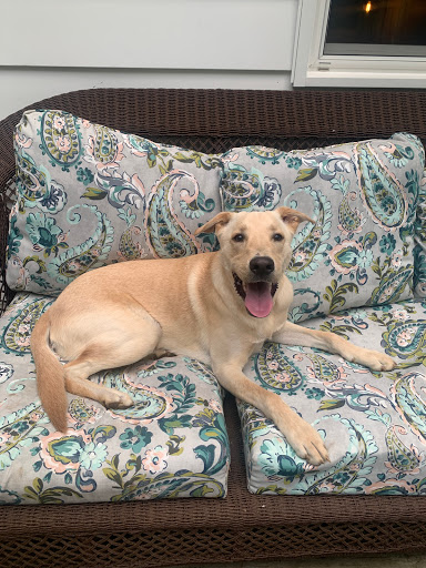 10022 Liberty Rd, Randallstown, MD 21133, USA