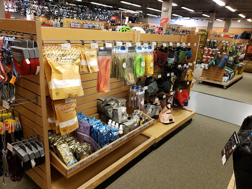 Camping Store «REI», reviews and photos, 200 Ridge Pike #115, Conshohocken, PA 19428, USA