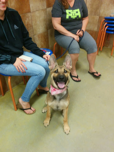 Pet Supply Store «PetSmart», reviews and photos, 160 Washington St #701, Rochester, NH 03839, USA