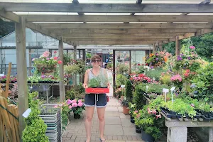 Bents Green Nurseries image