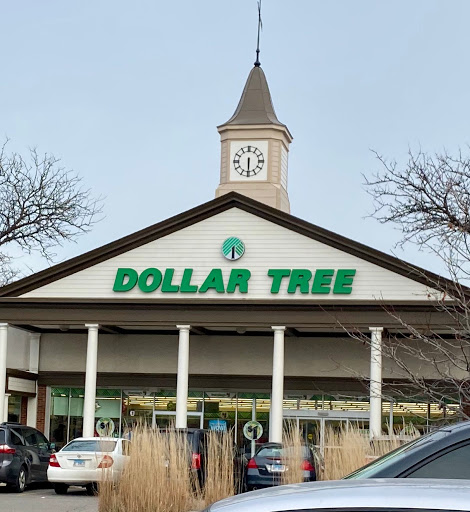 Dollar Store «Dollar Tree», reviews and photos, 1061 S York Rd, Bensenville, IL 60106, USA