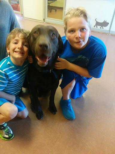 Animal Protection Organization «Humane Society-Black Hills», reviews and photos