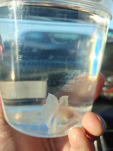 Pet Supply Store «PetSmart», reviews and photos, 3601 Rib Mountain Dr, Wausau, WI 54401, USA