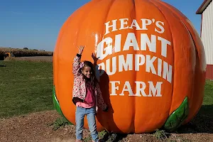 Heaps Giant Pumpkin Farm image