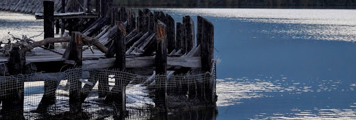 Dalyan Delta Emlak