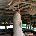 Photo n°1 de l'avis de Elvio.e fait le 09/09/2018 à 11:00 sur le  Casone Ittiturismo Gaya Tecla à Bibione