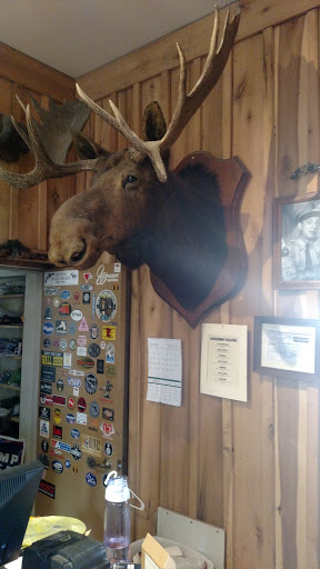 Gun Shop «Burtzland Outfitters», reviews and photos, 2330 S Mahoning Ave, Alliance, OH 44601, USA