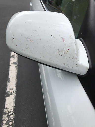 Car Wash «Elephant Car Wash», reviews and photos, 12900 Bel-Red Rd, Bellevue, WA 98005, USA