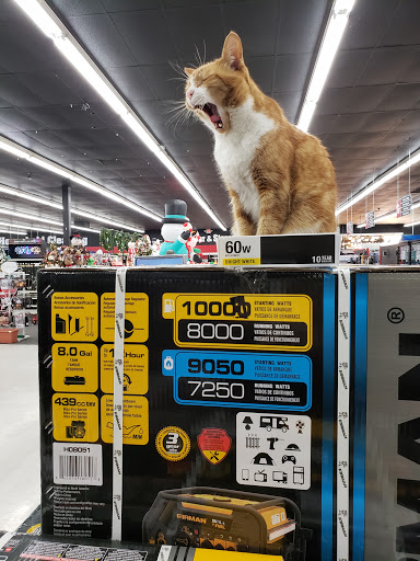 Hardware Store «Do it Center», reviews and photos, 3775 Thousand Oaks Blvd, Westlake Village, CA 91362, USA