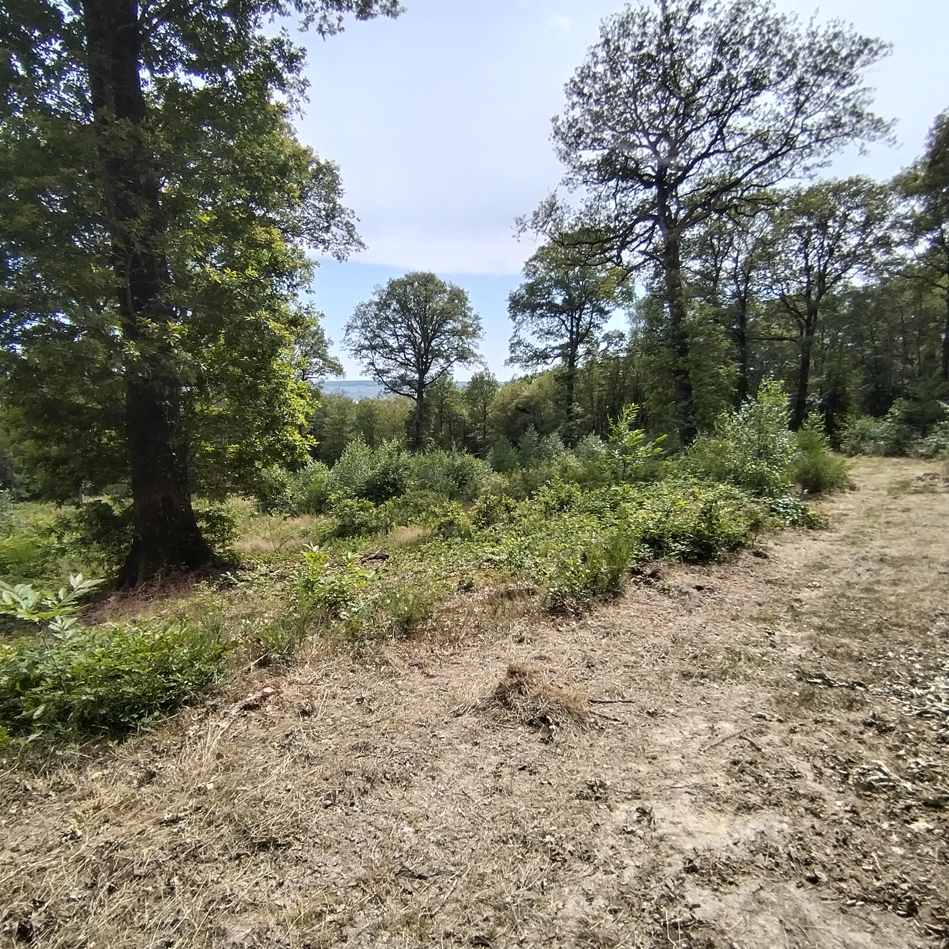 Photo n° 2 de l'avis de Maurice.O fait le 22/06/2022 à 15:49