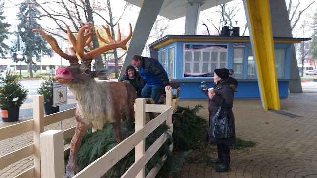 Hozzászólások és értékelések az Dita Kozmetika-ról