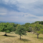 Photo n°8 de l'avis de Re.a fait le 23/07/2022 à 21:37 sur le  Schloss Bürgeln à Schliengen