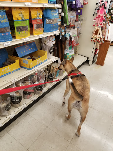 Pet Supply Store «Concord Pet Foods & Supplies», reviews and photos, 15 S Dupont Hwy, Dover, DE 19901, USA