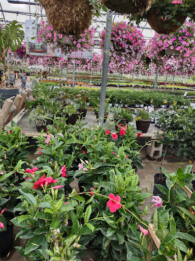 Plant Nursery «Blooming Acres», reviews and photos, 7561 State Rd, Wadsworth, OH 44281, USA