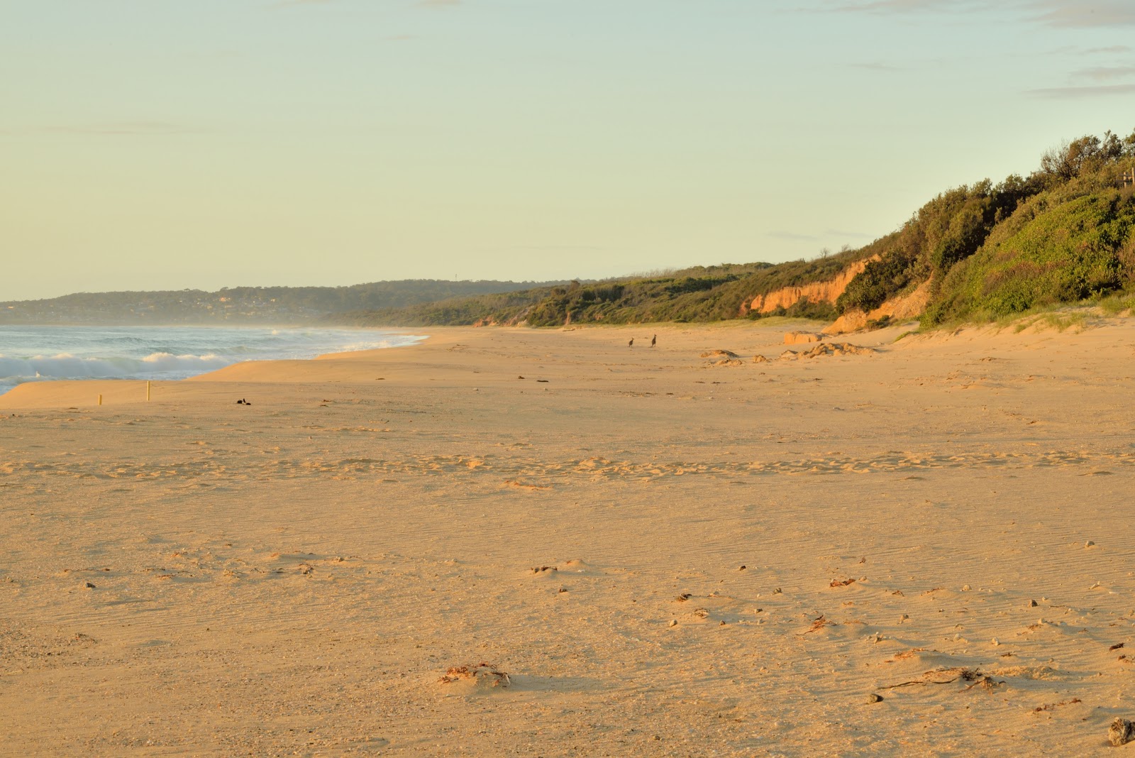 Zdjęcie Brou Beach położony w naturalnym obszarze