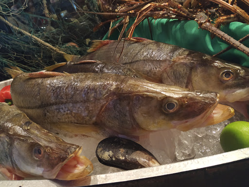 Restaurantes de pescado en Caracas