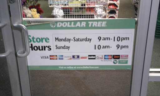 Dollar Store «Dollar Tree», reviews and photos, 65 Lawrenceville Suwanee Rd SW #10, Lawrenceville, GA 30044, USA