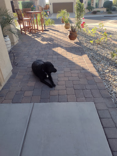 Home Builder «Sun City Festival by Del Webb», reviews and photos