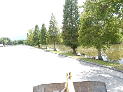 Pet Store «Phillips Feed & Pet Supplies», reviews and photos, 4350 Amberjack Blvd, Plant City, FL 33566, USA