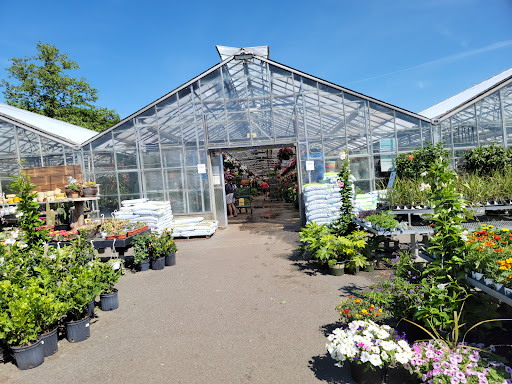 Greenhouse Cambridge