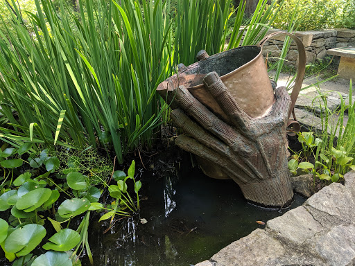 Botanical Garden «Botanical Gardens At Asheville», reviews and photos, 151 W .T. Weaver Blvd, Asheville, NC 28804, USA