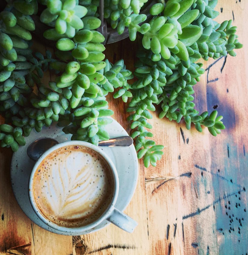 Restaurant «Six Shooter Coffee: Waterloo Café», reviews and photos, 16021 Waterloo Rd, Cleveland, OH 44110, USA