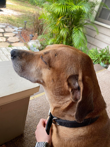 3003 Bartow Rd, Lakeland, FL 33803, USA