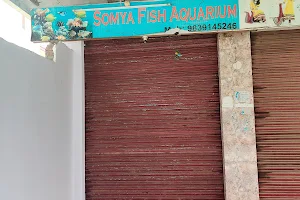 Somya Fish Aquarium - Best Fish Aquarium In Varanasi image