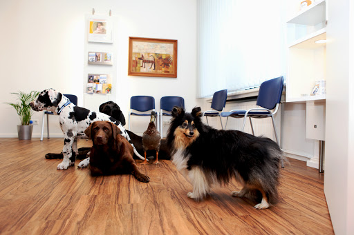 Dr. Jaspers & Englert, veterinarians, Kleintierpraxis unter Wuppertal, 