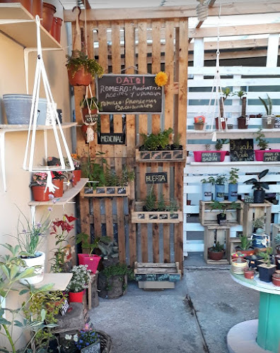 Opiniones de El jardin de Flores en Hualpén - Centro de jardinería
