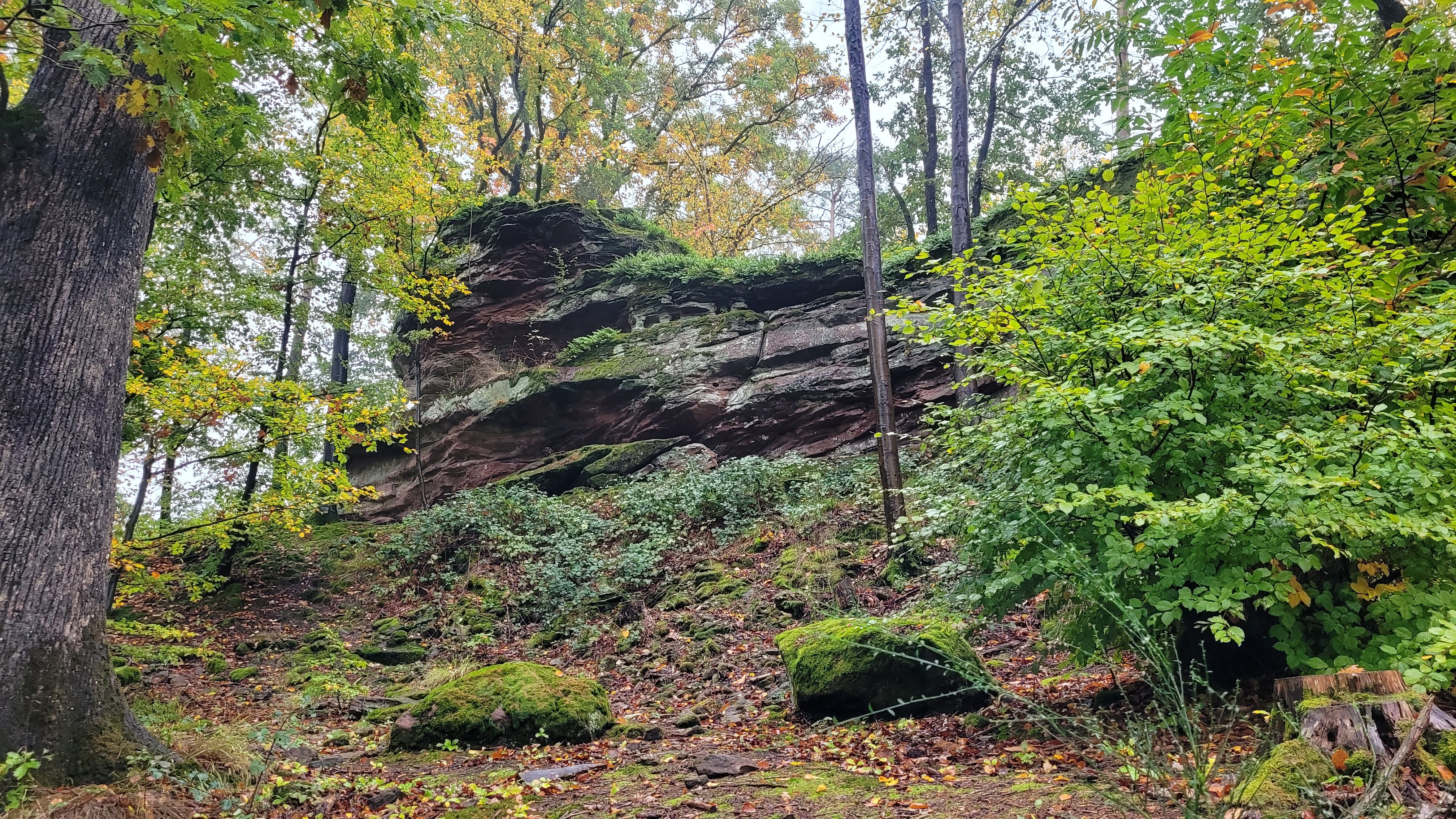 Photo n° 9 de l'avis de Verena.a fait le 31/10/2023 à 09:34
