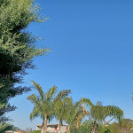 Photo n°3 de l'avis de Salvio.s fait le 01/05/2022 à 15:58 sur le  Baia Club à Bacoli