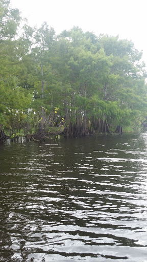 Tourist Attraction «Twister Airboat Rides», reviews and photos, 8199 W King St, Cocoa, FL 32926, USA